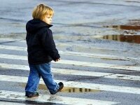 «Детям Подмосковья – безопасность на дорогах»
