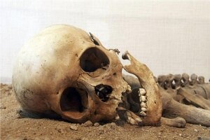 В поселке сан.им. Герцена полиция обнаружила скелетированные останки человека